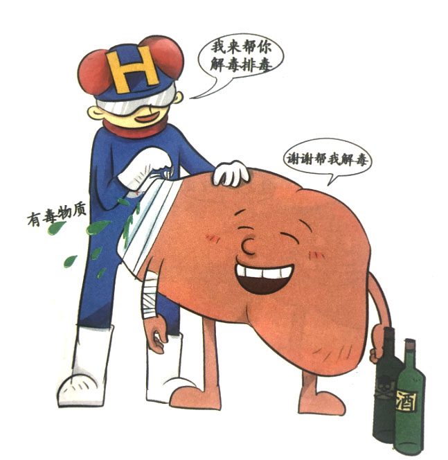 分子氫有助于肝臟解毒