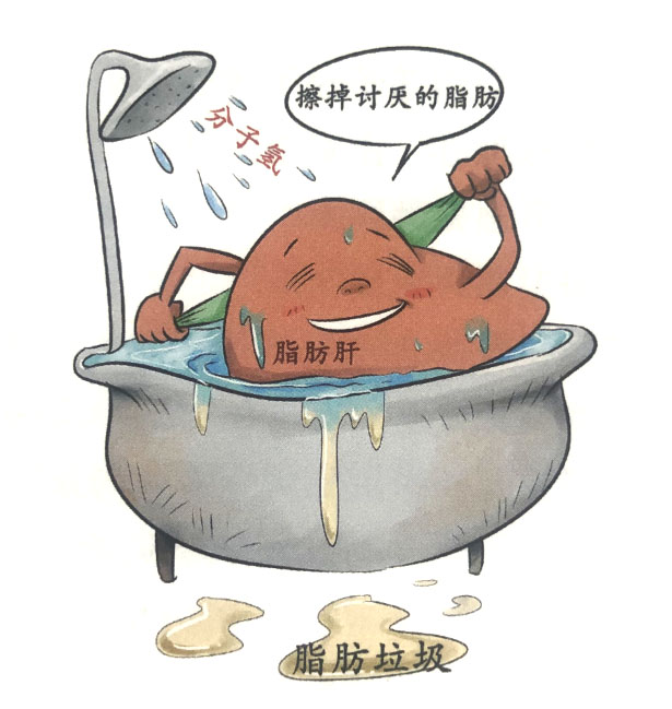 分子氫對(duì)肝臟的保護(hù)作用