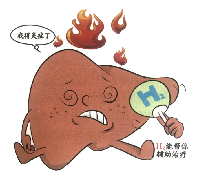 分子氫對(duì)肝臟的保護(hù)作用