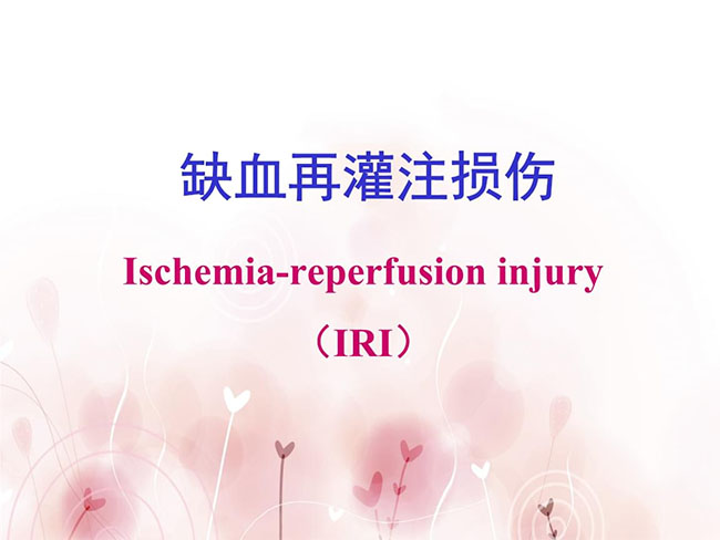 分子氫改善缺血再灌注損傷性疾病