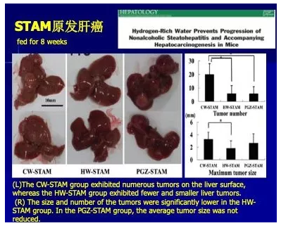 氫氣預(yù)防癌癥的意義（有氫少癌）