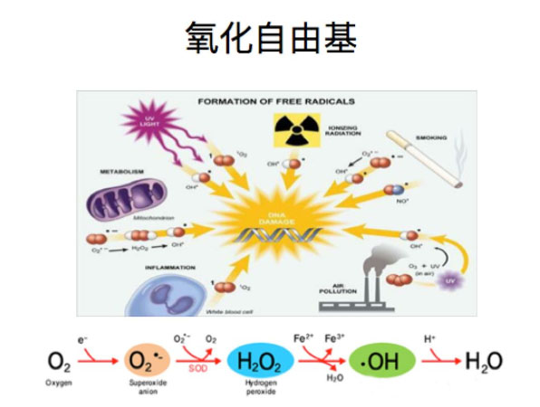 氫氣改善疾??？有效！簡單！便宜！