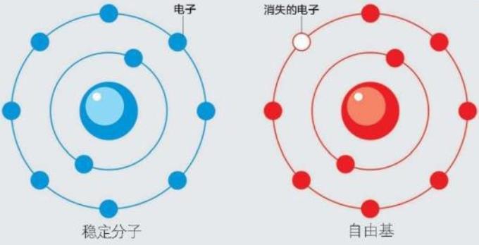 南方都市報：廣州腫瘤專家還用“氫”控癌