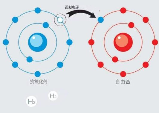 南方都市報：廣州腫瘤專家還用“氫”控癌