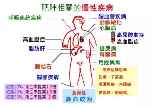 氫氣能減肥嗎？氫氣減肥效果如何呢？