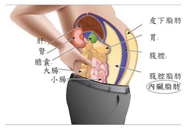 氫氣能減肥嗎？氫氣減肥效果如何呢？