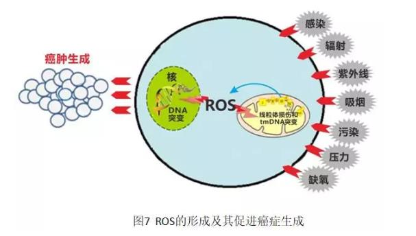 兩位醫(yī)學(xué)專家自己用氫氣改善病的故事