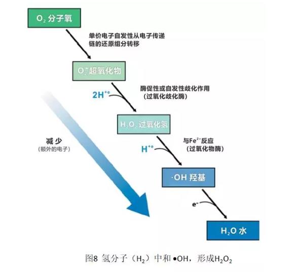 兩位醫(yī)學(xué)專家自己用氫氣改善病的故事