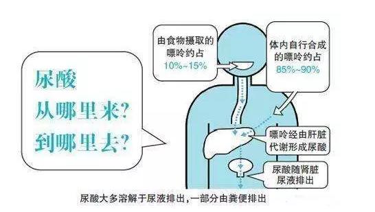 尿酸高？那你就離不開氫了！