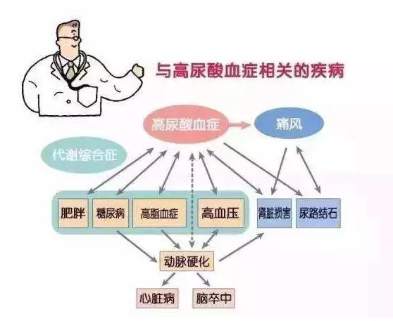尿酸高？那你就離不開氫了！