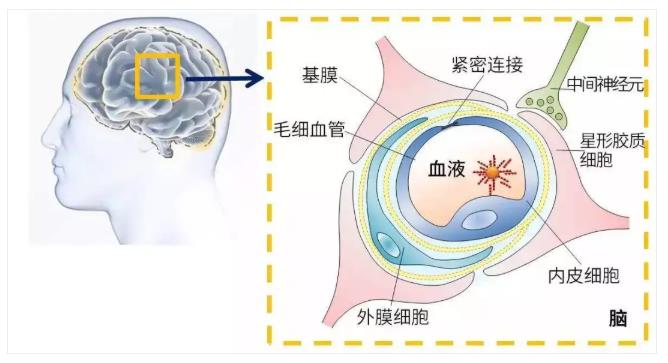 氫氣吸入對老年癡呆的效果驚人