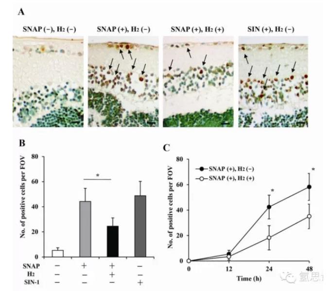 氫氣對視網(wǎng)膜損傷的改善作用機制研究