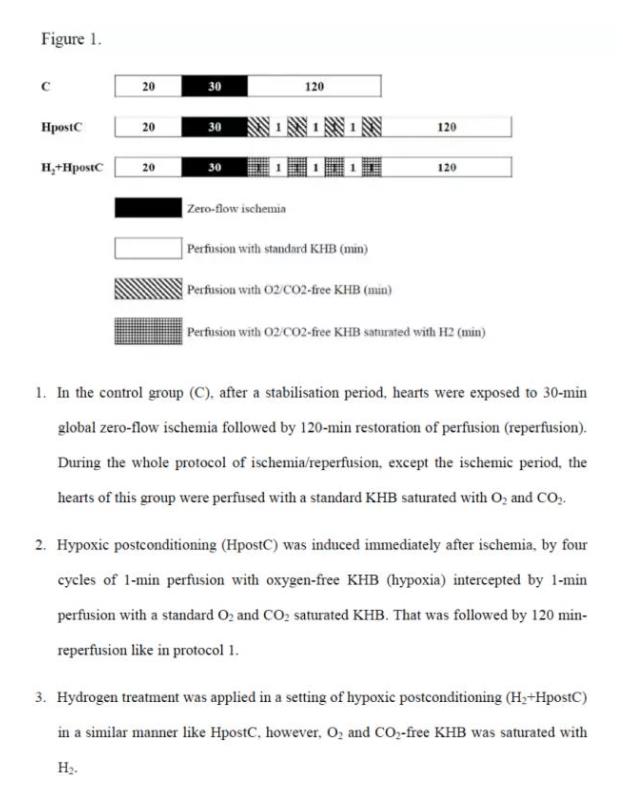 斯洛伐克：氫氣對心臟缺血的保護(hù)作用（圖）