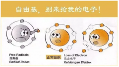 人體理想的抗氧化劑——氫
