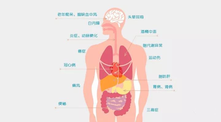 【氫分子·科普】氫分子的手下敗將：惡性自由基——人體生病的根源(圖8)