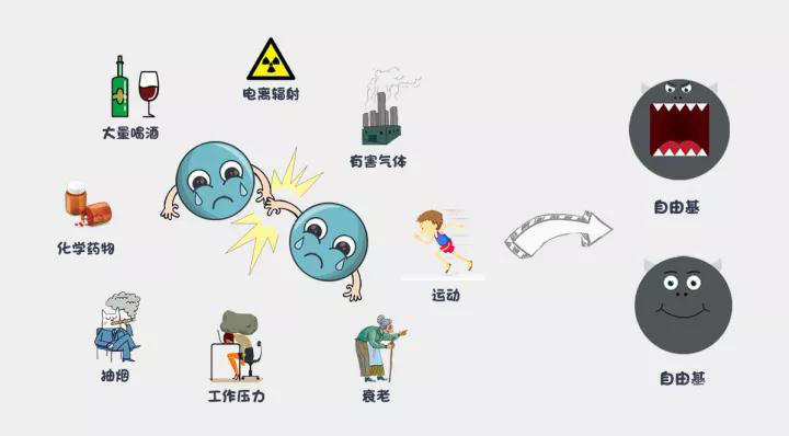 【氫分子·科普】氫分子的手下敗將：惡性自由基——人體生病的根源(圖5)
