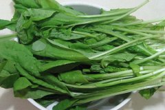 高端：日本氫水在農(nóng)業(yè)中的應(yīng)用