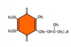 復(fù)合物I極化分解氫氣的可能機(jī)制