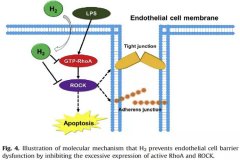 氫分子對于重癥肺炎治療研究