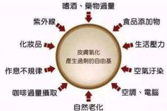 富氫水對(duì)治療腫瘤相關(guān)的氫分子科學(xué)文獻(xiàn)