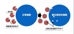 氫氣水療儀有什么作用？專業(yè)的氫氣水療儀去哪里買？