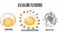 如何吸氫？吸氫的小建議