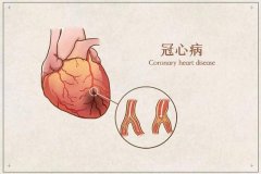 氫分子在心血管病及其風險因素防控中的作用