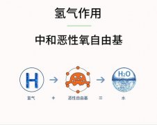 氫氣吸多了對(duì)人體有什么危害呢？