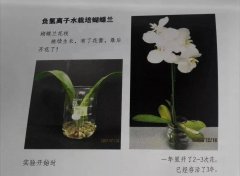 氫水在種植業(yè)的改善土壤作用