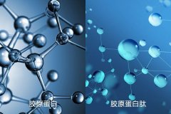 氫氣能促進多種膠原蛋白分泌