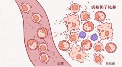 氫分子對炎癥和細胞死亡級聯(lián)反應的改善作用