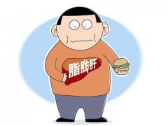 喝氫水幫肝臟“減脂”