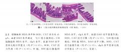 長期氧療有害，聯(lián)合氫療更健康
